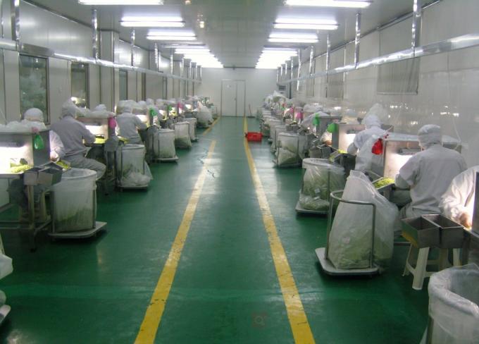100 - 120 Mesh Air Dried Vegetables Dehydrated White Onion Powder HACCP / ISO
