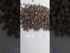 Black Dried Black Pepper 550gl Black Peppercorn Accept OEM