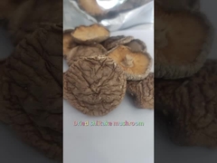 Premium Flat Dried Shiitake Mushrooms Rich In Protein