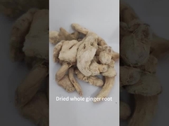 Natural Dried Dehydrated Ginger Root With HALAL HACCP