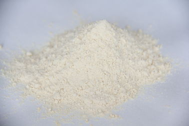 Food Supplement Dried Horseradish Powder Low Fat With 100% Purity