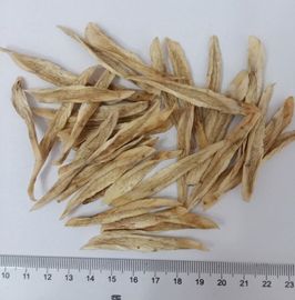 Healthcare Products Air Dried Shaved Burdock 4 * 4 * 80mm Pharmaceutical Raw Material