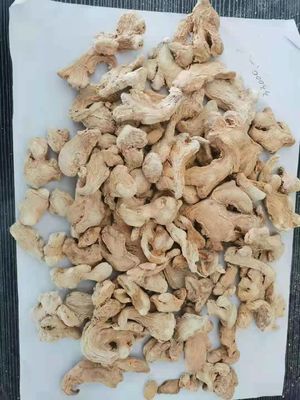 HACCP HALAL Certified Dehydrated Ginger Root Natural Color