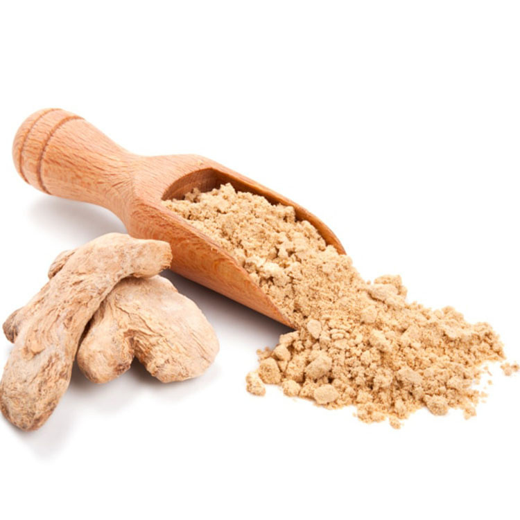 Dehydrated Dried Organic Ginger Root Powder 10% Moisture