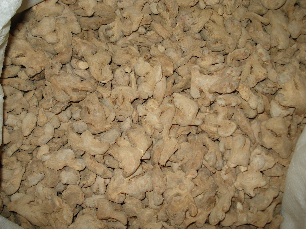 Natural Yellow Dehydrated Ginger Root Whole Part With Fresh Materials