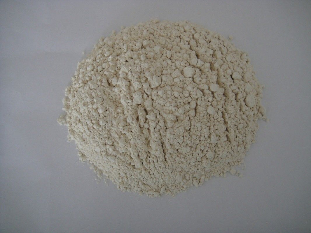 Open Air Dehydrated Horseradish 1-3mm HACCP ISO Standard White Color