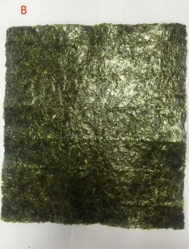 Roasted Seaweed Alga Yaki Sushi Nori Gold Green For Asian Cuisine Restaurant