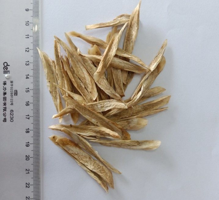 Healthcare Products Air Dried Shaved Burdock 4 * 4 * 80mm Pharmaceutical Raw Material