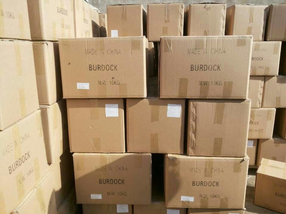 Healthcare Products Air Dried Shaved Burdock 4 * 4 * 80mm Pharmaceutical Raw Material