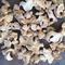 Whole Dried Ginger Root New Crop Grade A Carton Packing No Additives