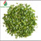 Max 7% Moisture Dehydrated Vegetables / Dehydrating Chives Rolls 3*3mm / 5*5mm