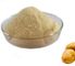 100 Mesh Dehydrated Potato Dices 100% Pure Dried Potato Powder ISO HACCP