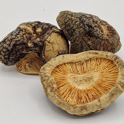Daily Meals Brown Dried Shiitake Mushrooms Stored In Dry Place