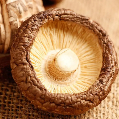 High Protein Dry Shiitake Mushrooms Dices With Mushroom Taste And Textural Quality
