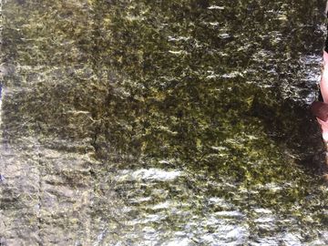 19x21CM Wasabi Flavored Seaweed , Dried Sushi Nori Seaweed Sheets