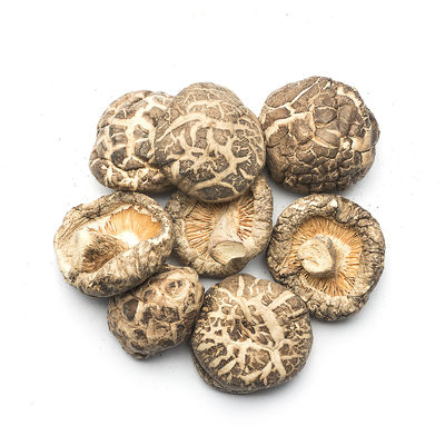 Versatile Dried Flat Shiitake Mushrooms For Culinary