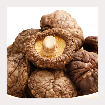 Medium Texture Dried Shiitake Mushrooms With Dry Texture High Protein Nutrition