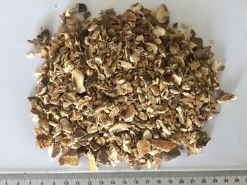 Shiitake Dehydrated Mushrooms Granules 10x10mm Size With Natural Taste