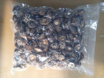Healthy Dried Shiitake Mushroom 11% Moisture No Foreign Odours